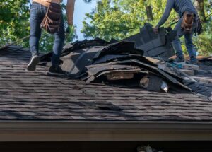 A close view of tree branches resting against a residential roof with scattered leaves and debris.
